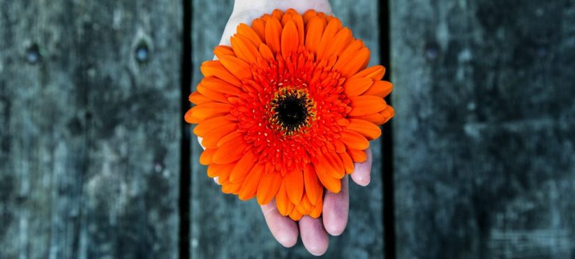 تجربه دبورا